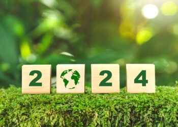 5 hàbits sostenibles per aquest 2024