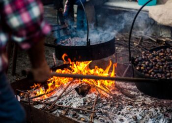 La Castanyada: Tradició Sostenibilitat i Gust a Tardor