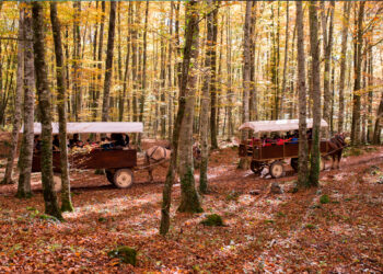 Les millors rutes de senderisme a Catalunya per gaudir de la tardor