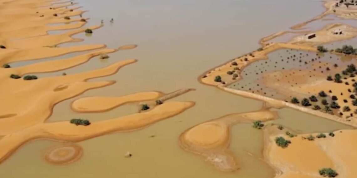 Inundacions al Sàhara: un nou senyal dels efectes globals del canvi climàticInundacions al Sàhara: un nou senyal dels efectes globals del canvi climàticInundacions al Sàhara: un nou senyal dels efectes globals del canvi climàtic