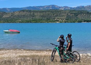 Tipus de mosquits que hi ha a Espanya i com identificar la seva picada