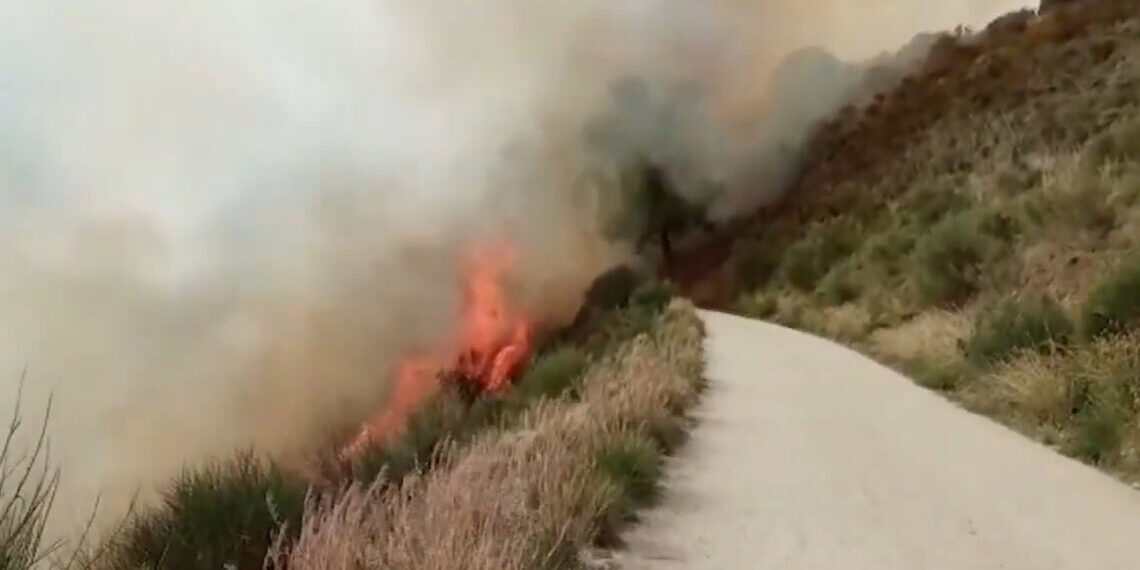 Incendis forestals collserola