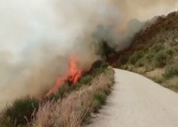 Incendis forestals collserola