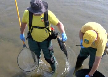 Vessament químic al Besòs: 15 dies per recuperar la depuradora
