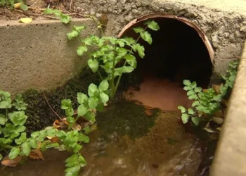 La canonada que perd 225.000 litres d'aigua diàriament des de fa 20 anys