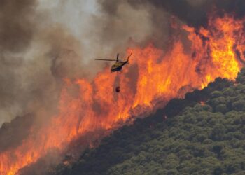 Actualització sobre els incendis forestals a Espanya l'any 2024
