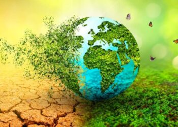 Dia Mundial del Clima 2024