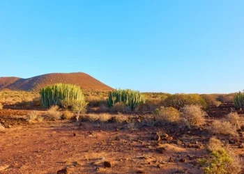 Espanya esgota els seus recursos naturals i entra en dèficit ecològic