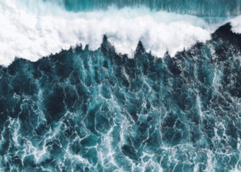  Milà acull la Blue Economy Summit 2024: Un impuls per a la protecció dels oceans