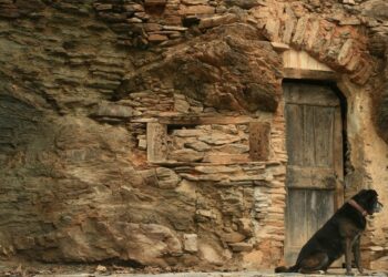 Les conseqüències mediambientals i socials de la desertització rural