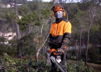 El sector forestal català acusa a la Generalitat de dificultar la participació en l'Agència de la Naturalesa