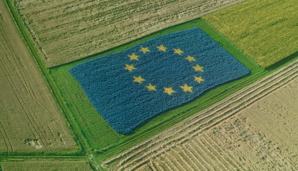 La PAC necessita un canvi urgent per salvar l'agricultura europea