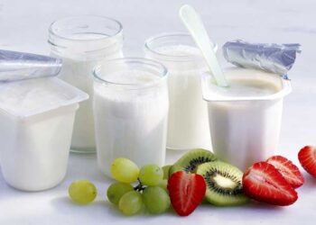 Guia per escollir el millor iogurt: Un aliment essencial per a la teva dieta