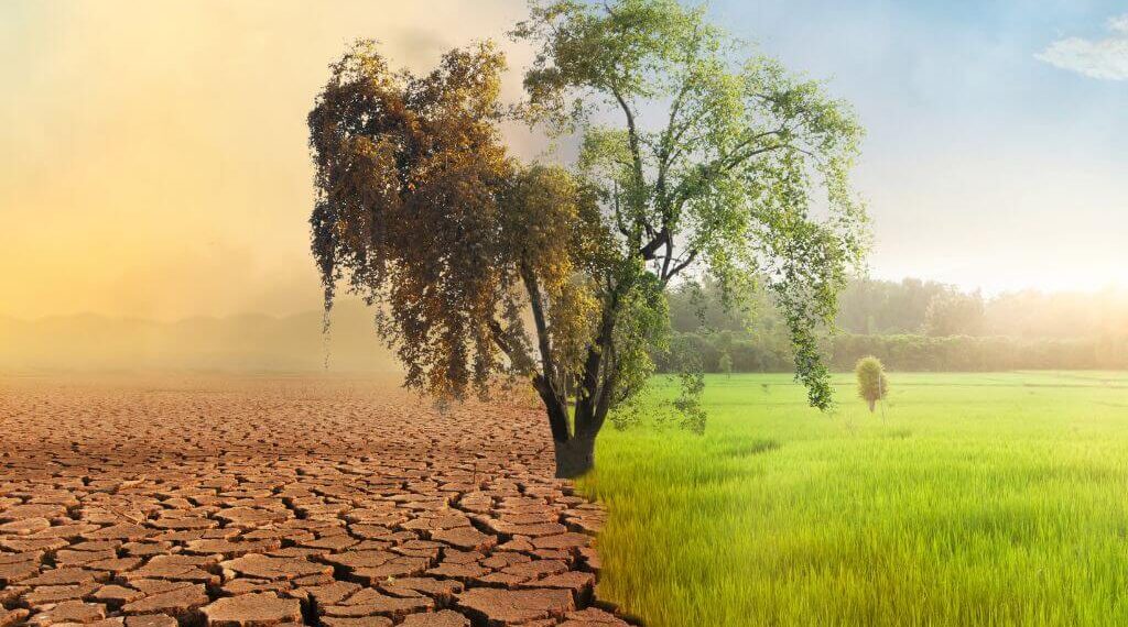 Espanya encara no té un comitè científic d'assessorament sobre canvi climàtic