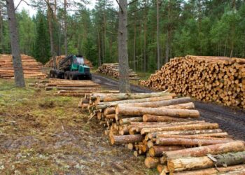 L'extracció de recursos naturals s'ha triplicat en els últims 50 anys