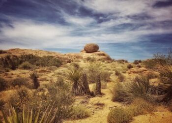 Catalunya perdrà el clima mediterrani abans de 2050