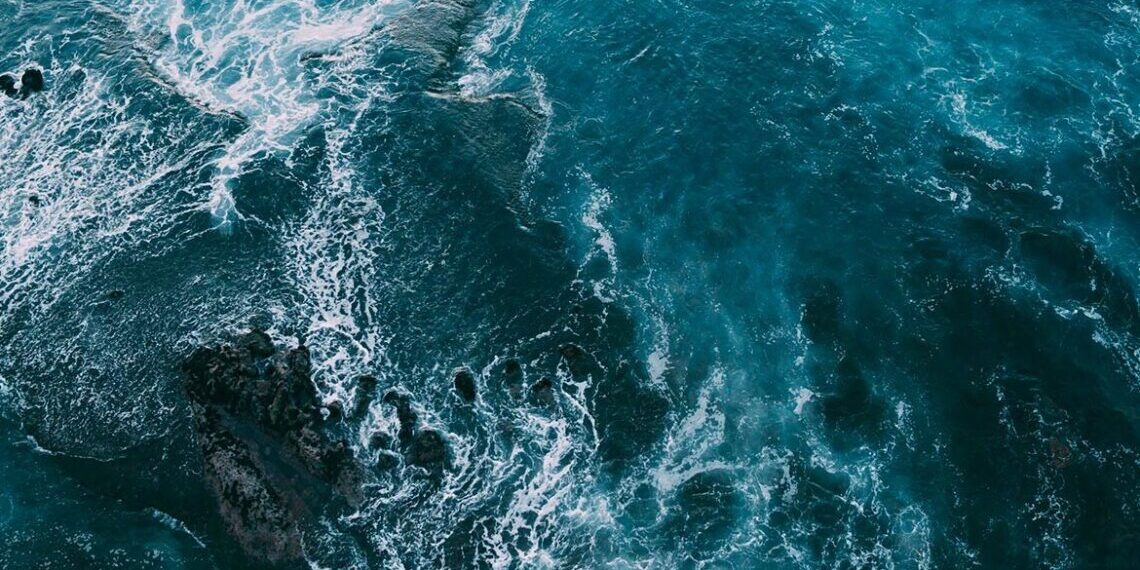 L’acidificació dels oceans: un perill creixent per a la vida marina i el futur del planeta