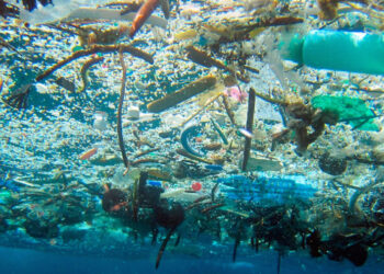 L'escalfament dels oceans i la contaminació per plàstics