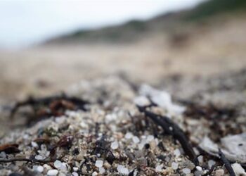 Pèl·lets, Galícia