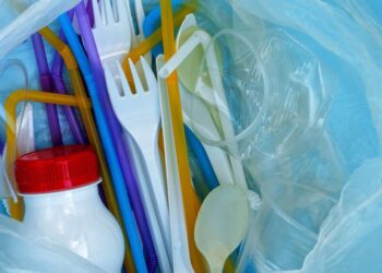 El 86% dels espanyols aprova la prohibició dels plàstics d'un sol ús