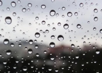 Les pluges rebaixen al mínim el perill d'incendi