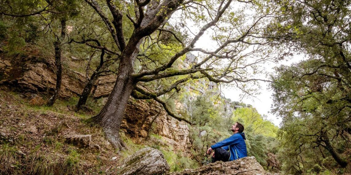 Llei de Restauració de la Naturalesa: La UE decidirà el seu futur el 17 de juny