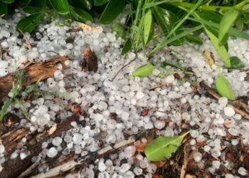 Greus pedregades destrueixen cultius a la plana de Lleida i Girona