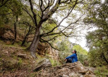 Llei de Restauració de la Naturalesa: La UE decidirà el seu futur el 17 de juny