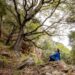 Llei de Restauració de la Naturalesa: La UE decidirà el seu futur el 17 de juny