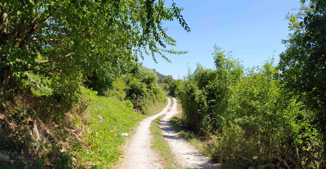 A quines platges de Catalunya puc portar el gos?