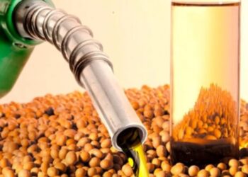 Científics exigeixen reconeixement dels impactes dels Biocombustibles de Soja a la UE