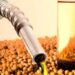 Científics exigeixen reconeixement dels impactes dels Biocombustibles de Soja a la UE