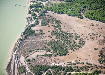 El PP defensa les inversions per a la protecció de Doñana