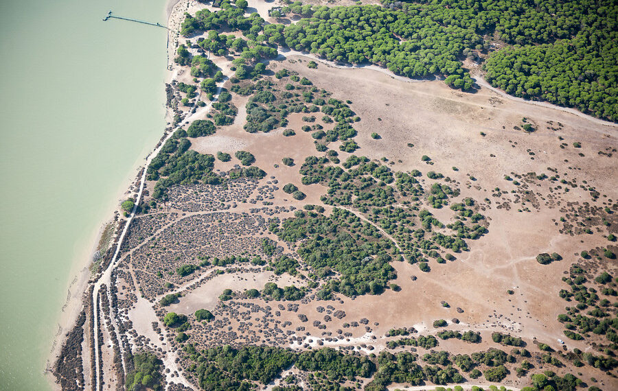 El PP defensa les inversions per a la protecció de Doñana