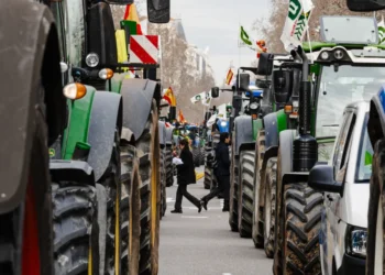 Repercussions de la Simplificació Agrícola de la PAC