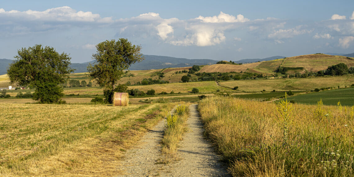 Agenda Rural de Catalunya: full de ruta per al futur del món rural català