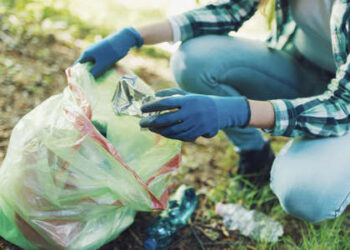 Voluntariat ambiental